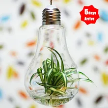 SOLEDI Diy цветочный горшок идеальный подарок для Семья бутылочная колба декор в виде Вазы Свадьба Висит Стекло Clear