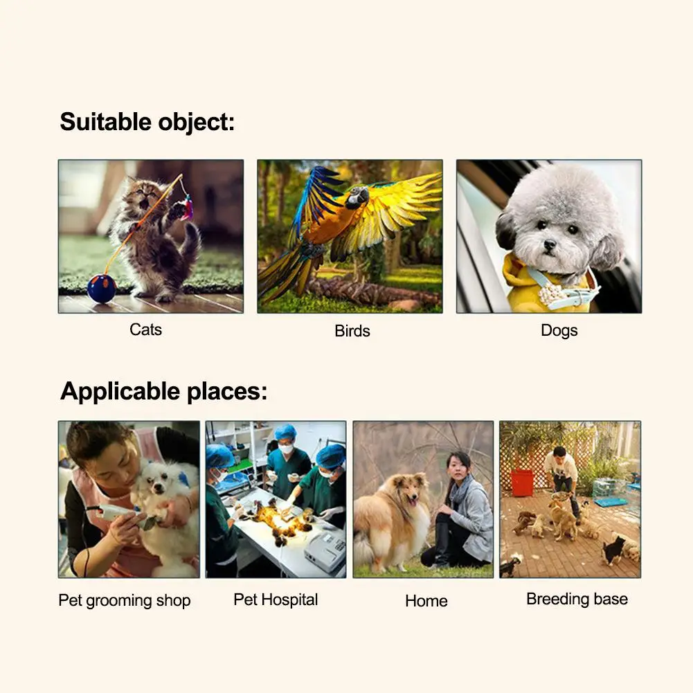 Pet Styptic Stop Bleeding Powder For Dogs Cats Birds Anti-inflammatory Antibacterial Broken Injury Traumatic Hemostatic Powder