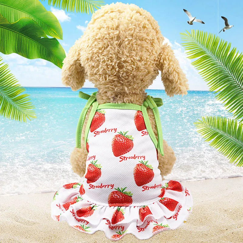 Летняя пляжная одежда для пар собака платье футболка для маленьких собак сладких фруктов, одежда для домашних питомцев; кошки комбинированное Сетчатое платье-жилет щенков чихуахуа, Костюмы