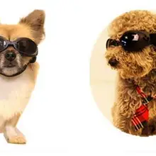 Mordern Дизайн завышенной стоимости ПЭТ щенок очки для собак УФ солнцезащитные очки защита для глаз регулируемый ремешок для украшения