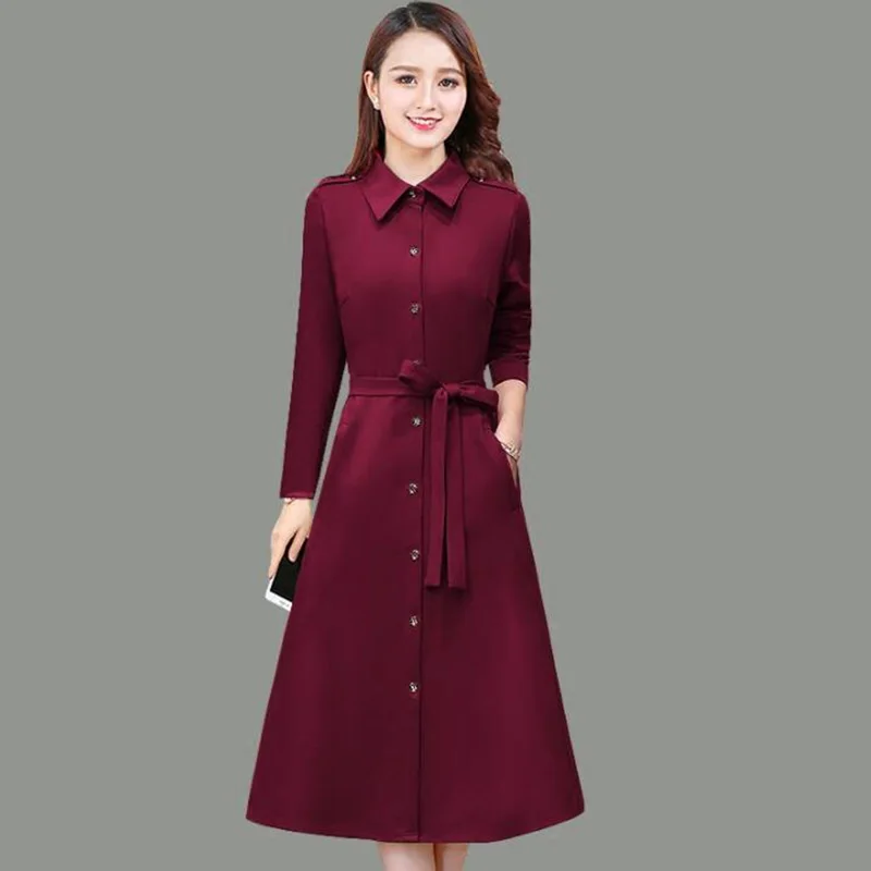 

Long Sleeve Dress Spring Autumn Women Turndown Single-breasted A-Line Dresses Female Temperament Long Shirt Dress