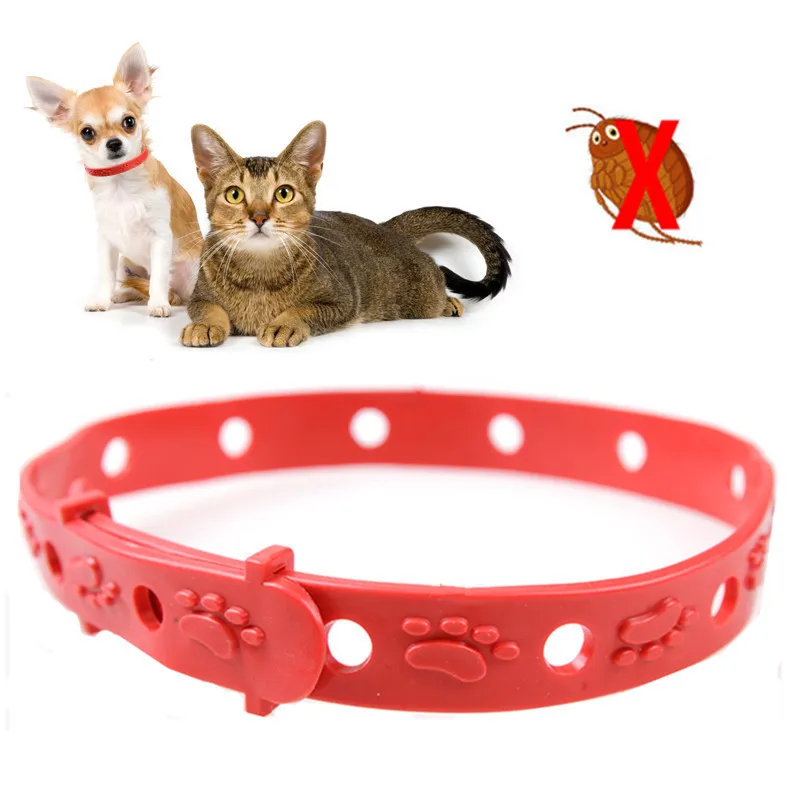 Adjustable Anti Flea Pet Cat Dog Collar Neck Strap Outdoor Pet