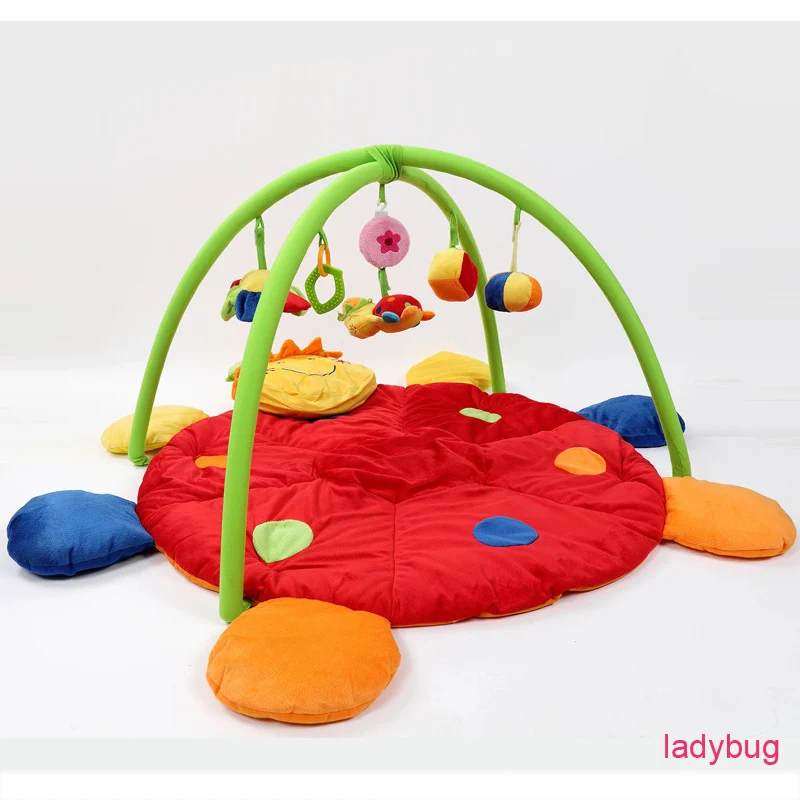 ladybug 1