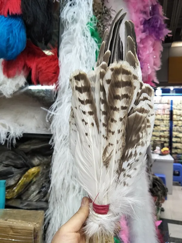 

Wholesale perfect 54pcs Rare pattern high quality natural eagle feathers 10-16inch/25-40cm Decorative diy stage performance