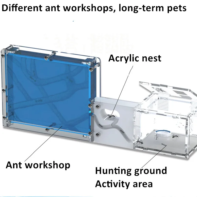 Муравьиное гнездо клетка для насекомых ферм корма пластиковый акриловый дисплей трапециевидная коробка