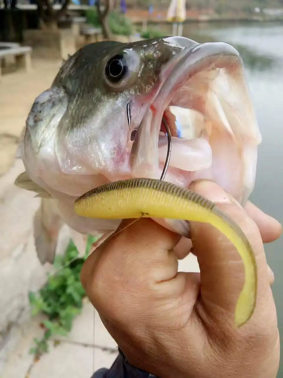 Esfishing рыболовные приманки весна мягкий силиконовый привод Shad 10 см 8 шт. снасти для рыбалки на карпа приманка китайская форель соленая