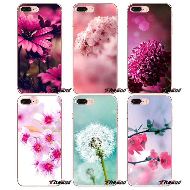 pink summer flowers wallpaper