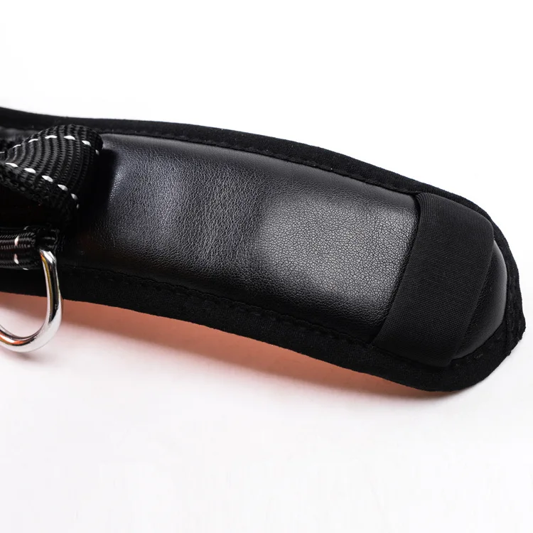 Dog Collar and Leash Set (2)