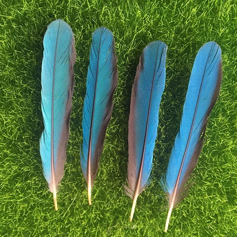 Rare 10PCS Precious kingfisher Feathers 8 10cm / 3 4 inch Beautiful Feathersin Feather from