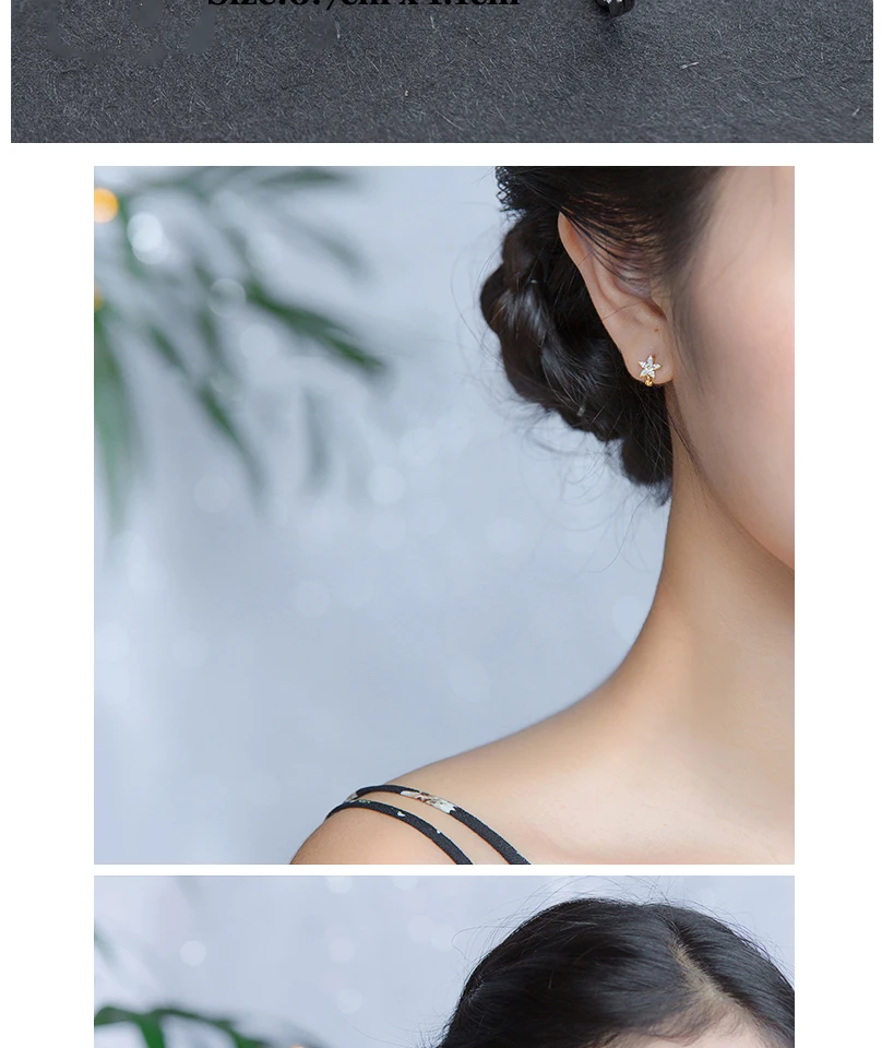 Exaggerated 925 Sterling Silver CZ Flower Hoop Earrings For Women Girls 2018 Fashion Piercing Huggie Earrings zilveren oorbellen (2)