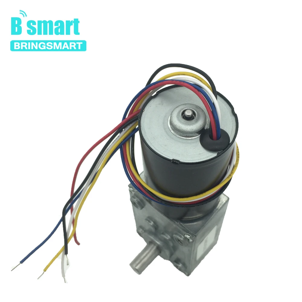 Bringsmart 브러시리스 DC 웜 기어 모터, BLDC 자동 잠금 제동 기어 박스, 맞춤형 전기 모터, 5840-3650, 12V, 24V, 8-470rpm