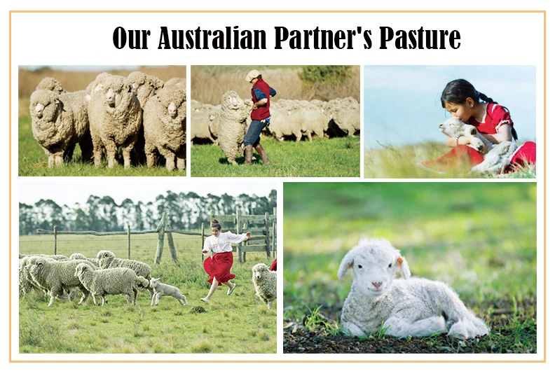 Australian Wool Comforters 15