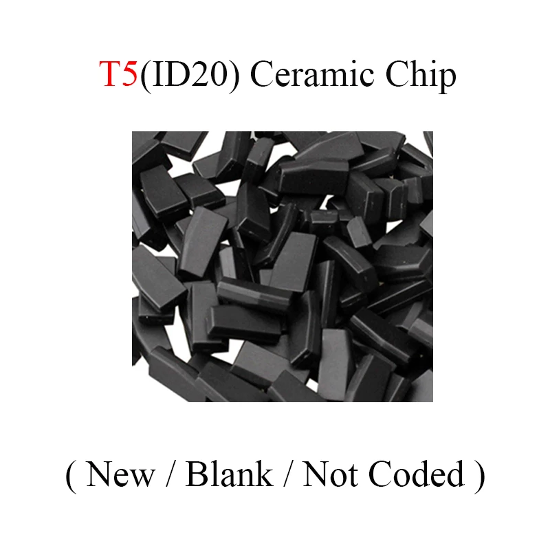 T5 Chip