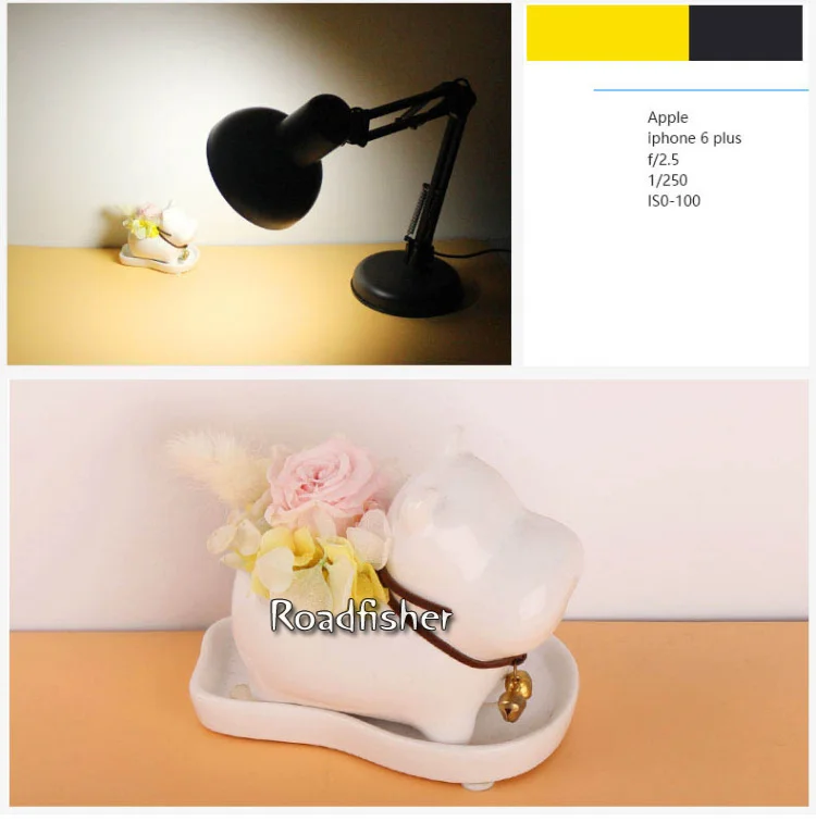 Photography desk light -13