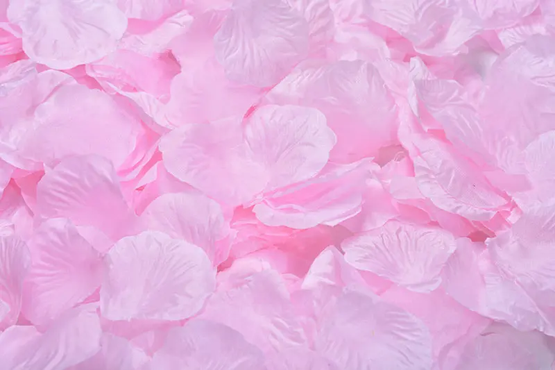 2382-06-10pcs-light pink-
