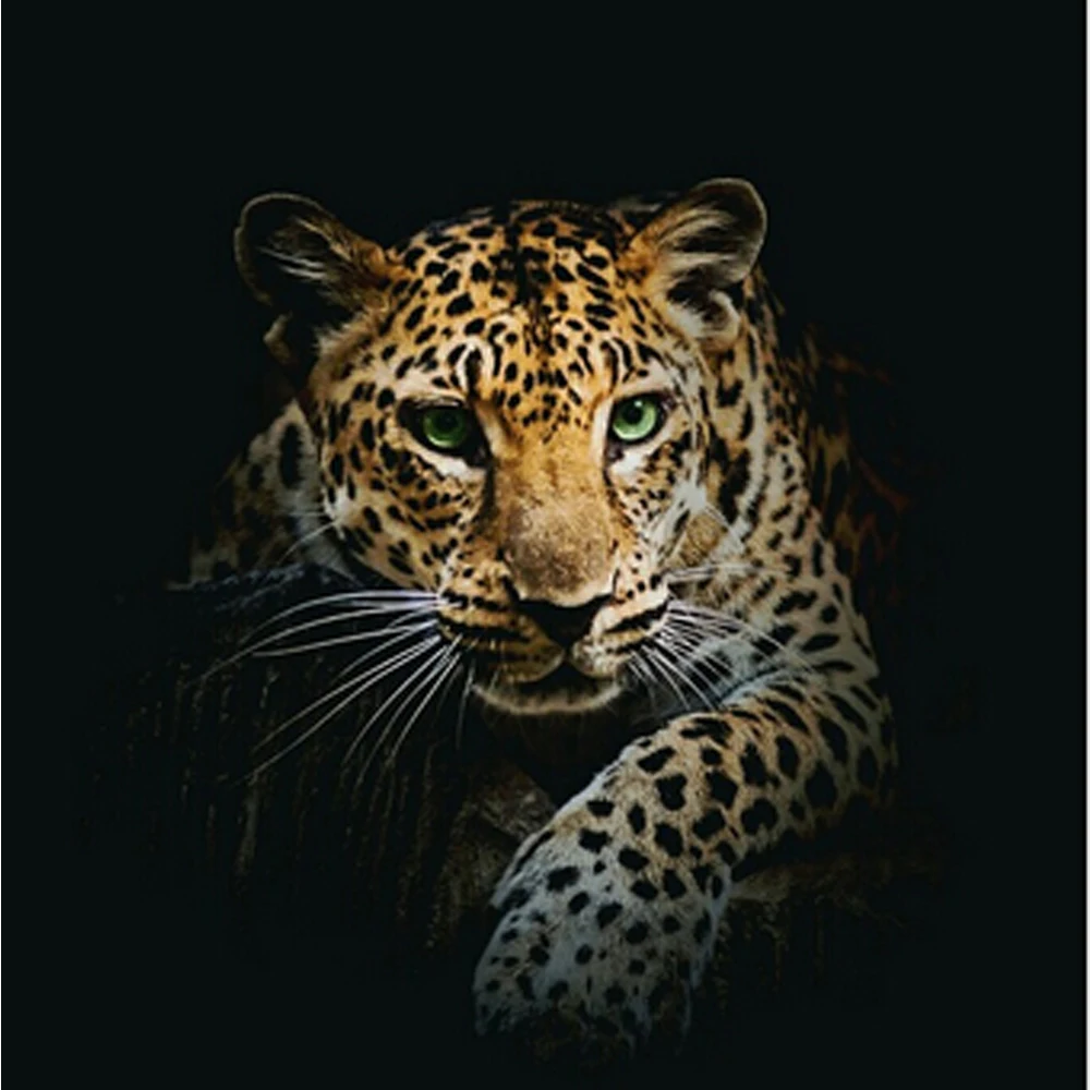 Animal leopard 3D DIY Diamond Painting cross stitch 5D Diamond