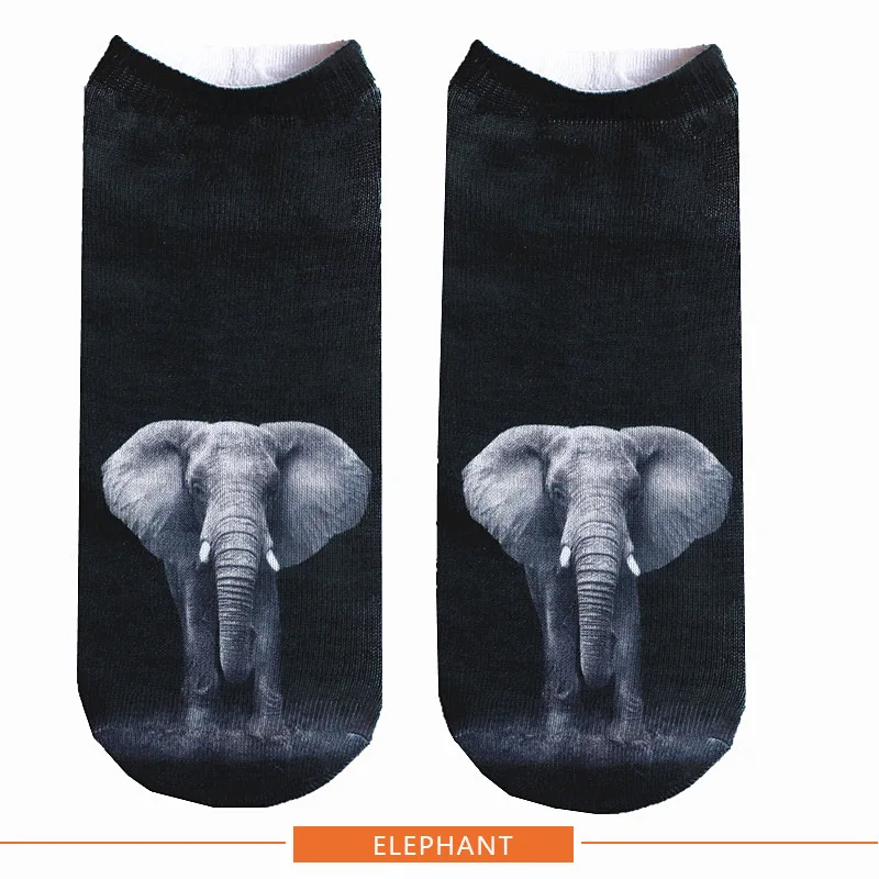 ELEPHANT 800