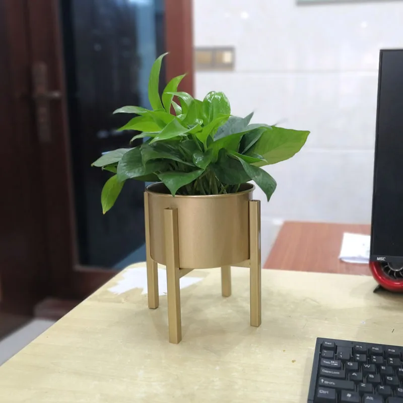 Новинка 2019 скандинавский кованый цветочный стеллаж для гостиной настольного