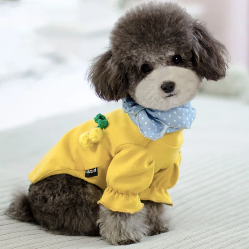 Весенний хлопковый свитер для чихуахуа, одежда для собак для маленьких собак, одежда для домашних животных, милый Йоркширский Костюм Для Пуделя футболка со щенком