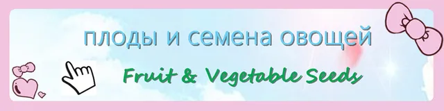 200 szt rzadkie żywe kamienie mix Lithops Bonsai kwitnący kwiat soczysty Cactus Organic Garden luzem Bonsai dla domu ogród tanie i dobre opinie Bardzo proste Wykluczone Strzelec Konserwy roślin Wieloletnich Courtyard Subtropikalnych Soczyste rośliny Rośliny ogrodowe 200 szt rzadkie żywe kamienie mix Lithops Bonsai kwitnący kwiat soczysty Cactus Organic Garden luzem Bonsai dla domu ogród tanie i dobre opinie Bardzo proste Wykluczone Strzelec Konserwy roślin Wieloletnich Courtyard Subtropikalnych Soczyste rośliny Rośliny ogrodowe