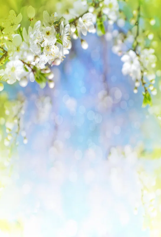 Laeacco Photo Backdrops Spring Blossom Flower Petals Polka Dots Baby Portrait Photographic Backgrounds Photocall Photo Studio