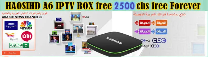 Приемник IPTV арабский, Арабский ip tv box бесплатно навсегда бесплатно 3300 канал Европа Америка Африка middel-Восток ТВ Поддержка cccam cline