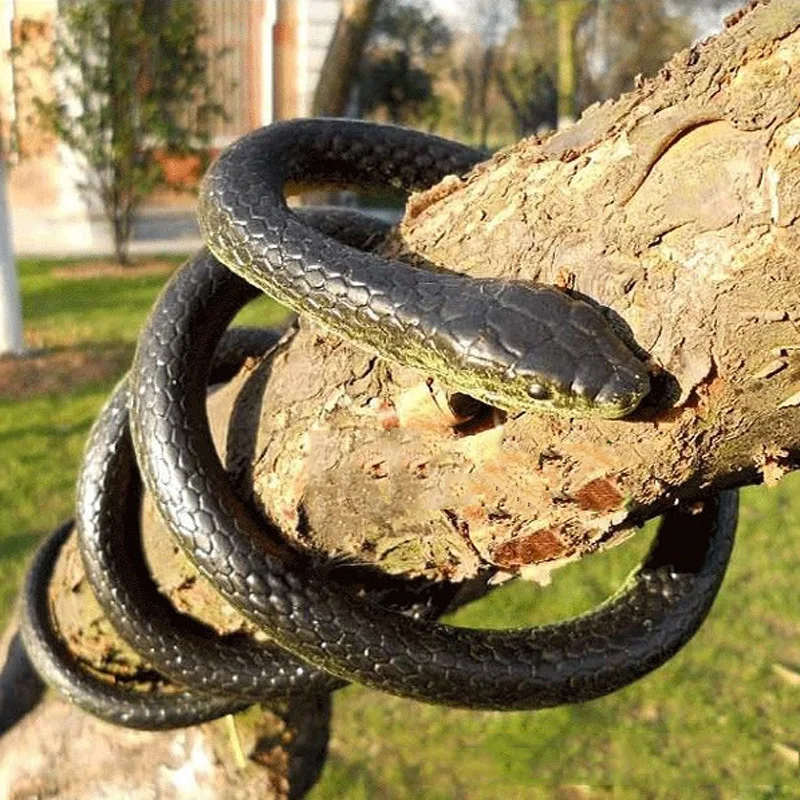 scary snake toy