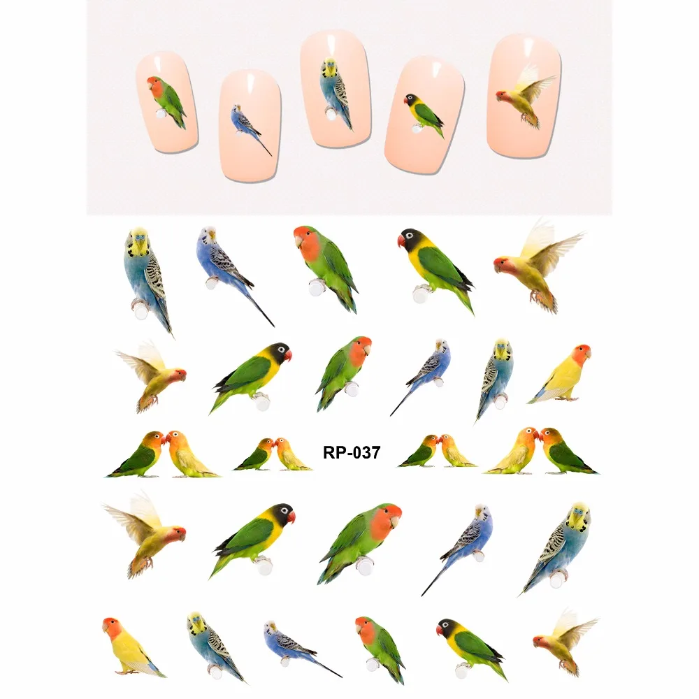 Искусство ногтей Красота наклейка на ногти водная наклейка слайдер птицы Бирюзовая рябина дятел попугай RP037-042
