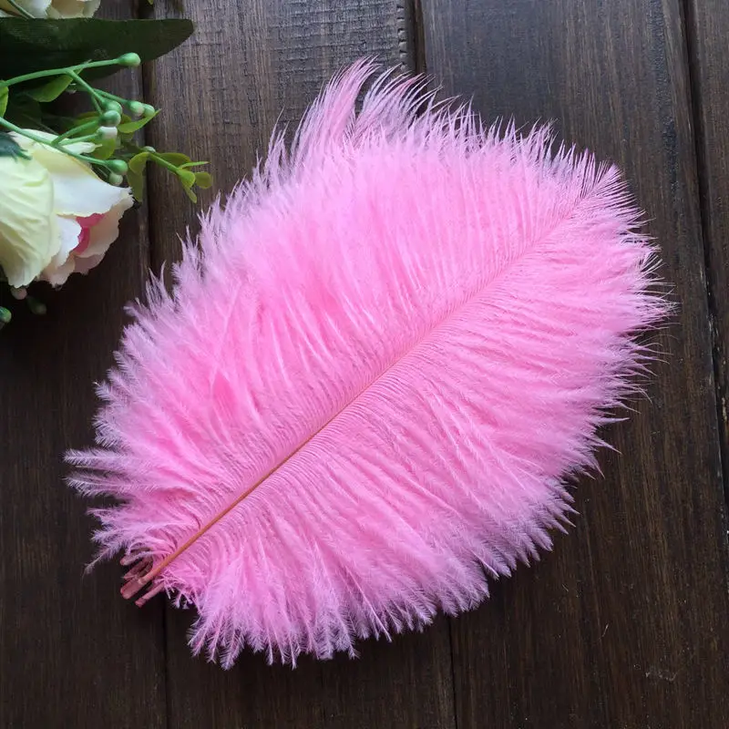 Ostrich feather7