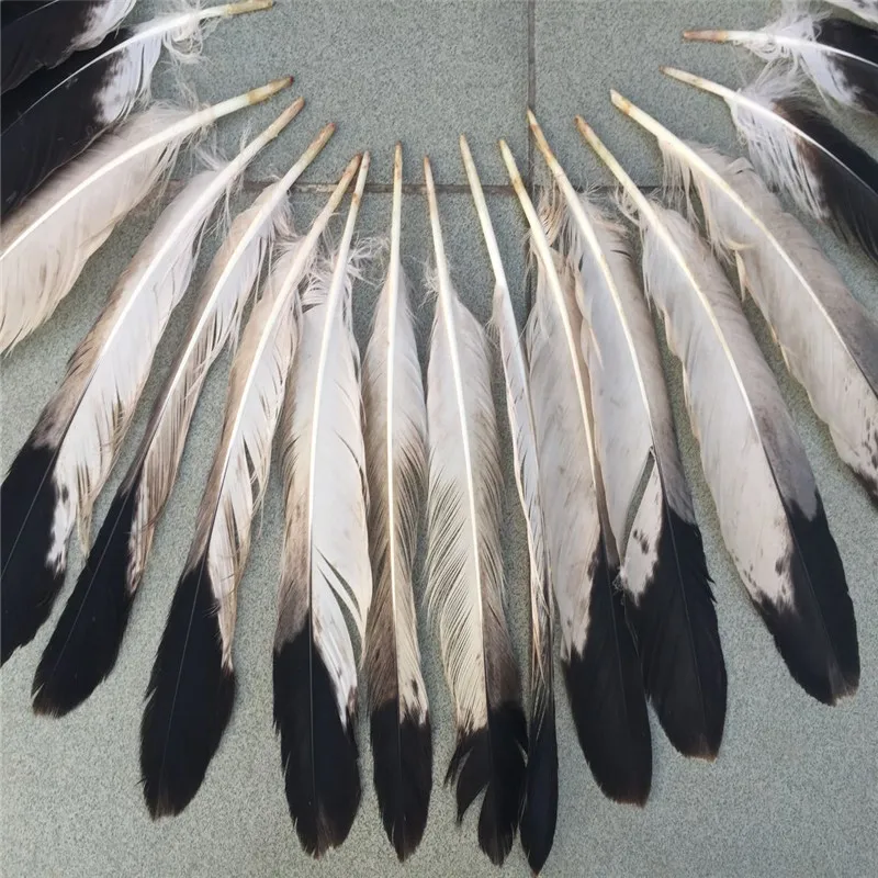 Орлиные перья Орлиные перья