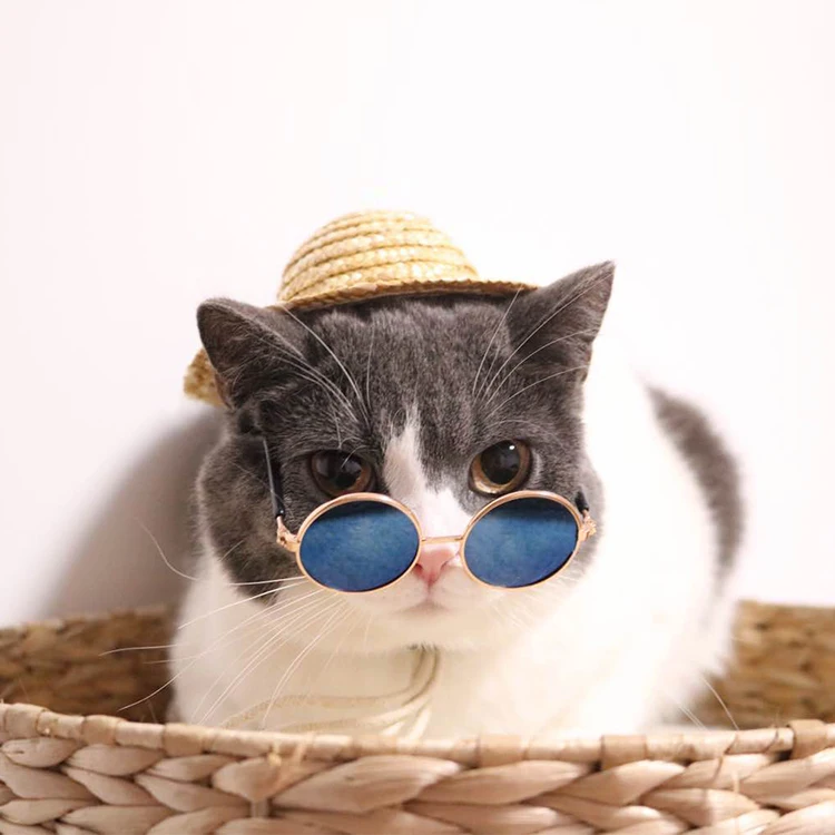 TB23tV6mbFlpuFjy0FgXXbRBVXa_!!1767925820