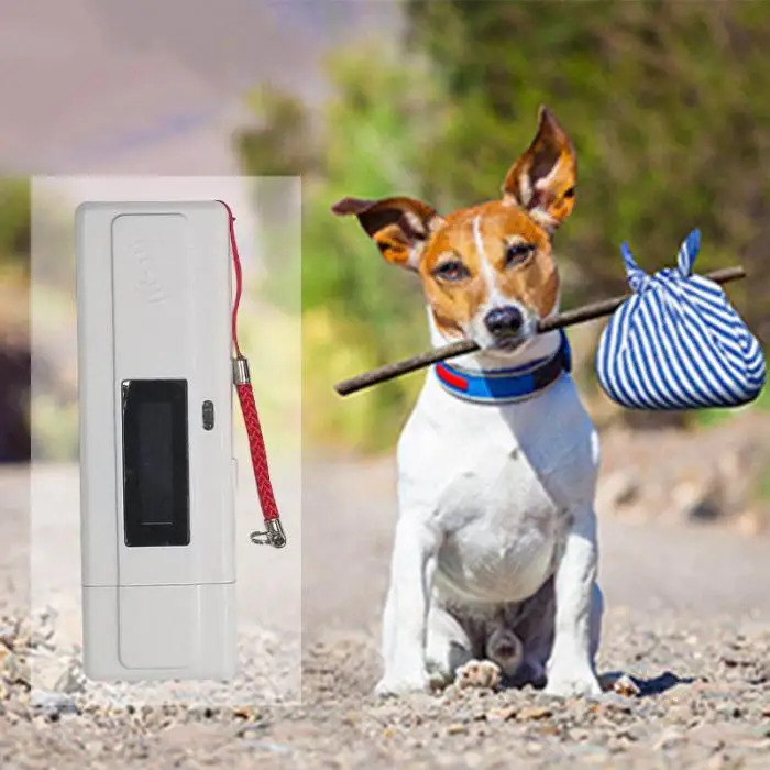 Портативный мини животное ID сканер 134,2 кГц LF Pet USB считыватель для Vets Shelter LXY9