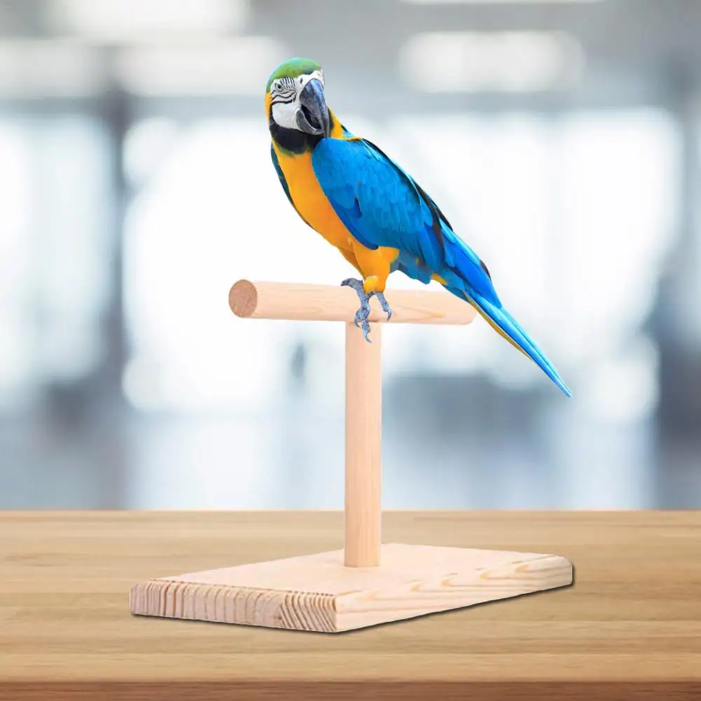 Жердочка для птиц Parrot Play Toys подставка держатель натуральная деревянная птица подвесная игрушка для офиса; дерево подставка Ave Bite Toy Весенняя доска