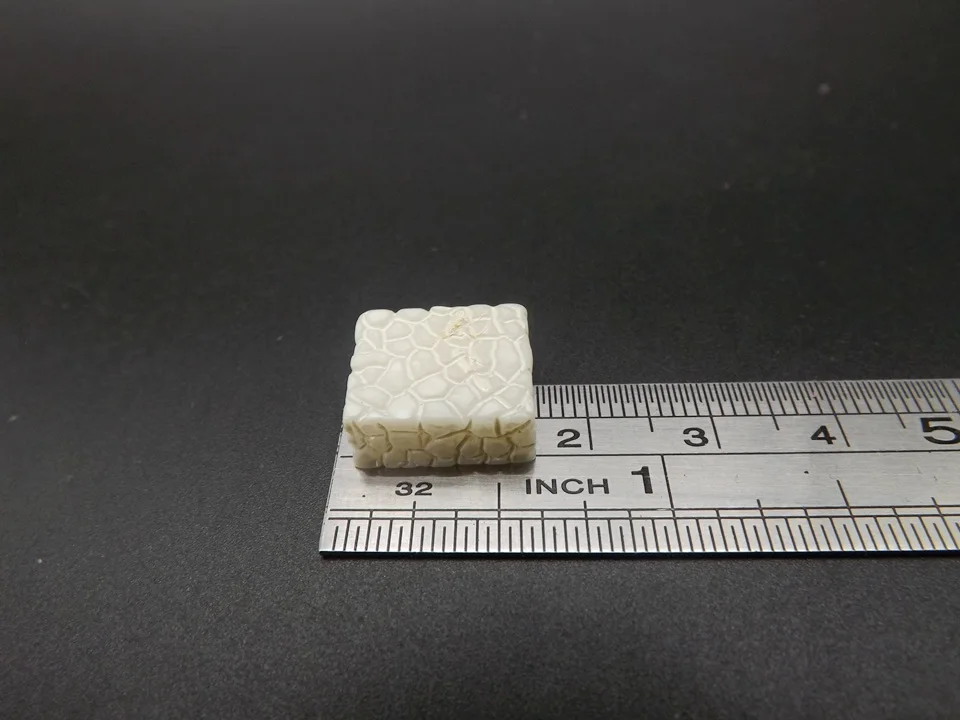 Tiny-B155-Step Stone (8)