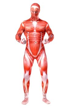 

Attack On Titan Cosplay Costumes Adult Costume Titans Attack Muscle Muscular Suit Bodysuit Bertolt Hoover Lycra Flesh Zentai