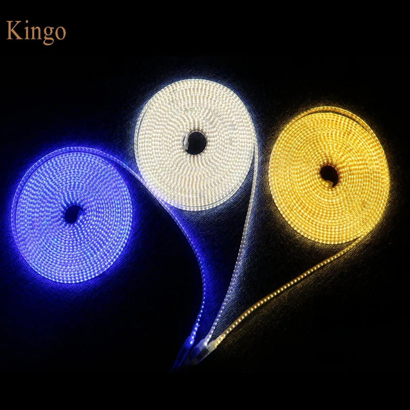 XIN19