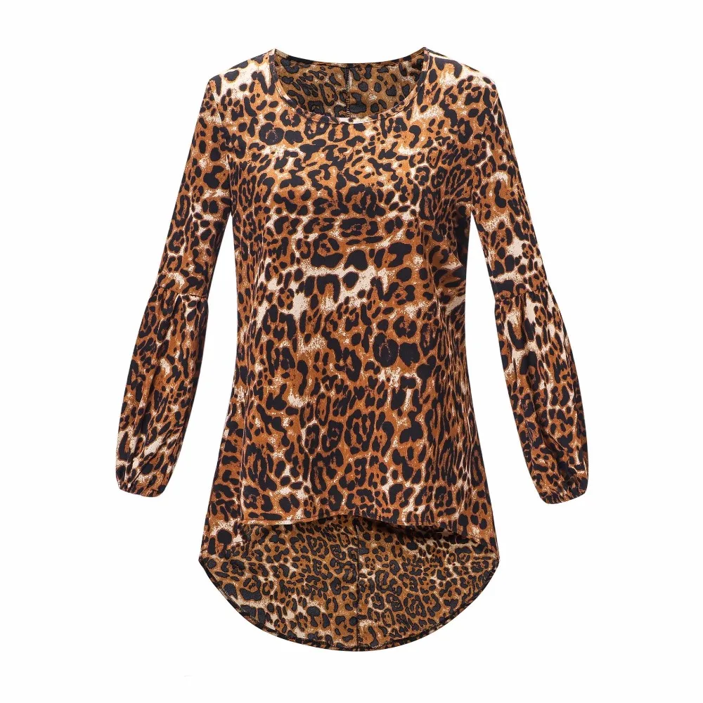 B6
