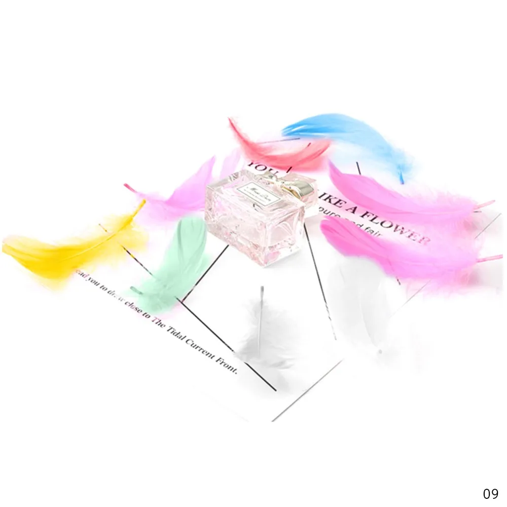 301449_no-logo_301449-2-09-p