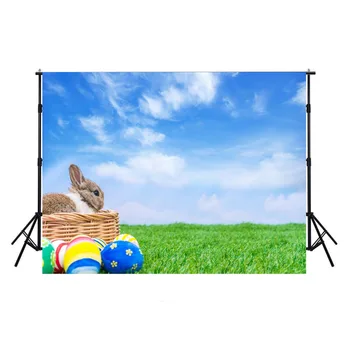 

2019 Hot Happy Easter Photography Backdrops Rabbit Backdrop For Photography Eggs Backdrops Sky Background For Photo Studio