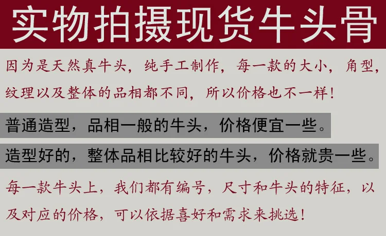 Голова художественного ремесла прямые продажи натуральный ручной работы тибетский Як корова череп действительно полированный Рог череп орнамент
