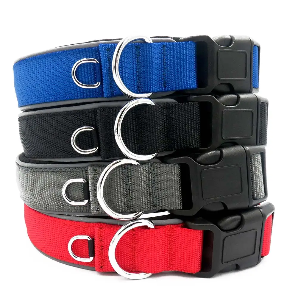 Night Safety Leash Nylon Reflective font b Pet b font Dog Collar Fluorescent Collars font b