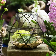 Europe Triangular Pentagon Mix 32-Sides Artistic Glass Geometric Terrarium Desktop Succulent Fern Moss Planter Bonsai Flower Pot
