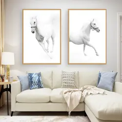 Белые лошади холст картина стены книги по искусству фотографии для гостиная вертикальный размеры плакат печать модульная