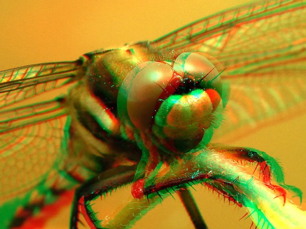 Абсолютно 100 Paare Rot/Cyan(Blau) Anaglyph 3 мерный 3D Brille