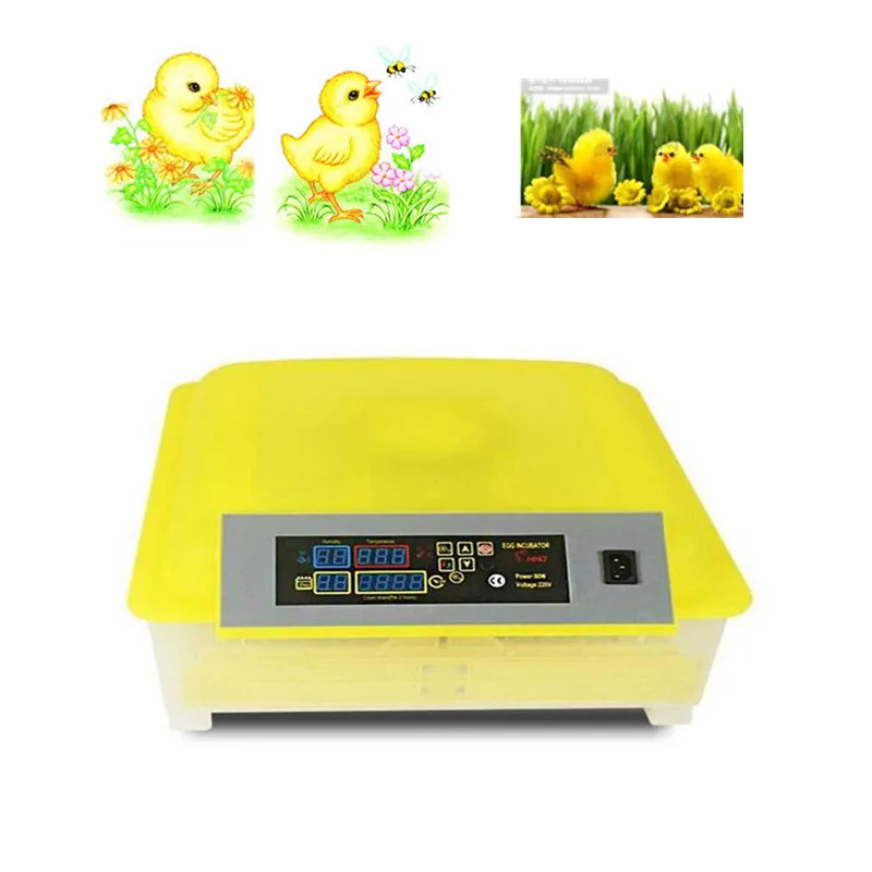 

Digital Temperature Hatchery Machine for Hatching Chickens Ducks Geese 110V/ 220V EU/US