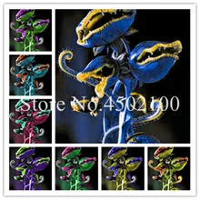 New Arrival ! Home Garden 200 Pcs Venus Fly Trap Bonsai Dionaea Muscipula Carnivorous Plants Free Shipping Diy Plant Semente New Arrival ! Home Garden 200 Pcs Venus Fly Trap Bonsai Dionaea Muscipula Carnivorous Plants Free Shipping Diy Plant Semente