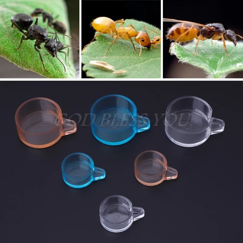

Ant Feeder Farm Acrylic Feed Area Food Water Ladder Box For Insect Nests House