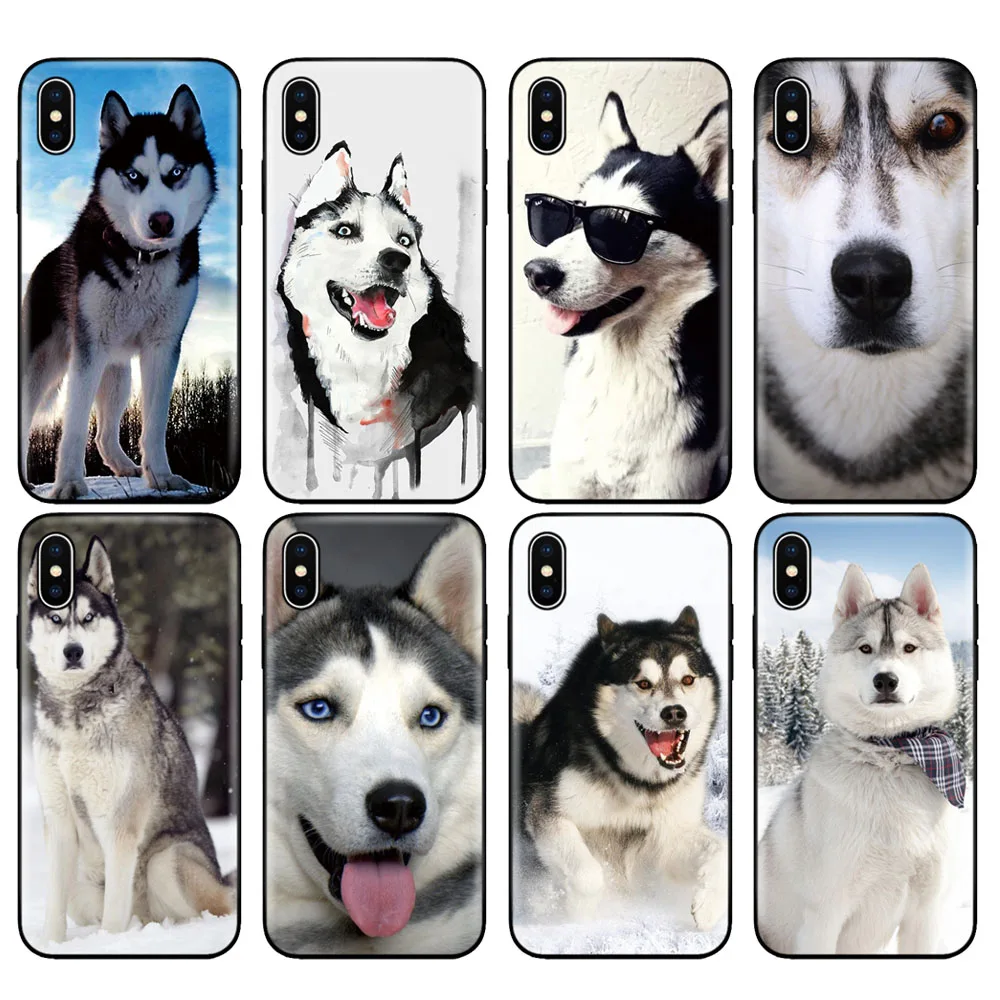 Custodia In Tpu Nero Per Iphone 5 5S Se 2020 6 6S 7 8 Plus X 10 Custodia In Silicone Per Iphone Xr Xs 11 Pro Max Custodia Husky Dog