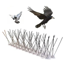 Hot Sale 6 M Bird and Spikes Anti Pigeon Anti Pigeon Plastic Pico to Get Rid of Pigeons and Pest Control Scare the Birds phenotypic characterization of jalali pigeon