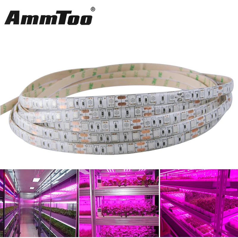 DC12V 5050 LED Grow Lights RedBlue 31 41 51 Waterproof Growing LED